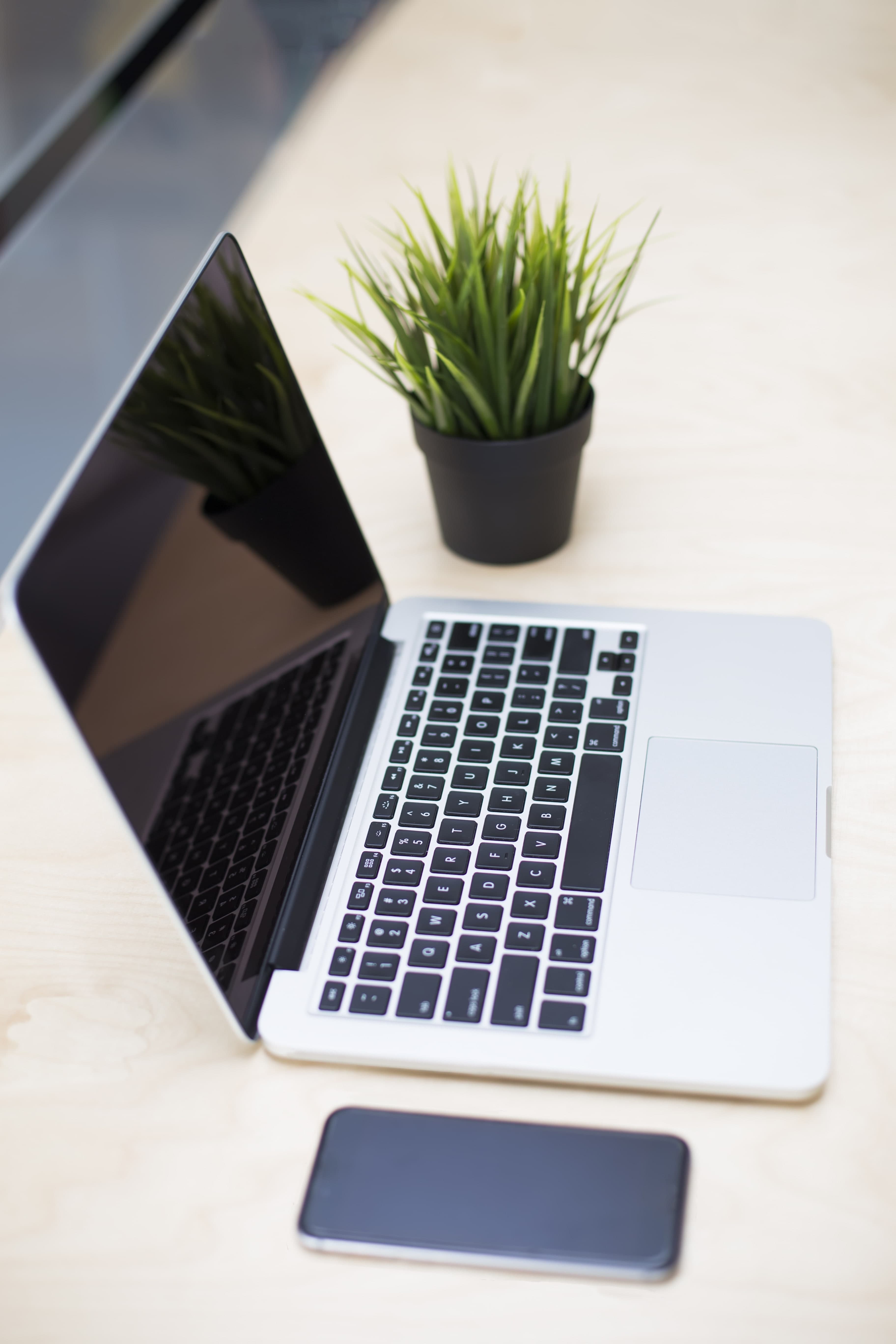 Client reviewing a full calendar of confirmed bookings